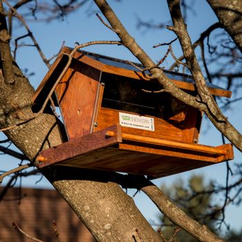 Hovedbilde Dyrekasser