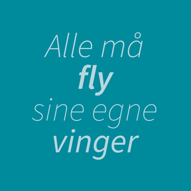 Hovedbilde Kort dobbel -Alle må fly sine ...