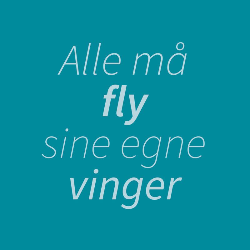 Kort dobbel -Alle må fly sine egne vinger
